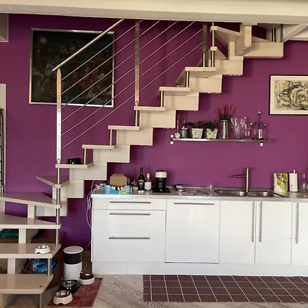 Purple Nest * סלה מראזינו